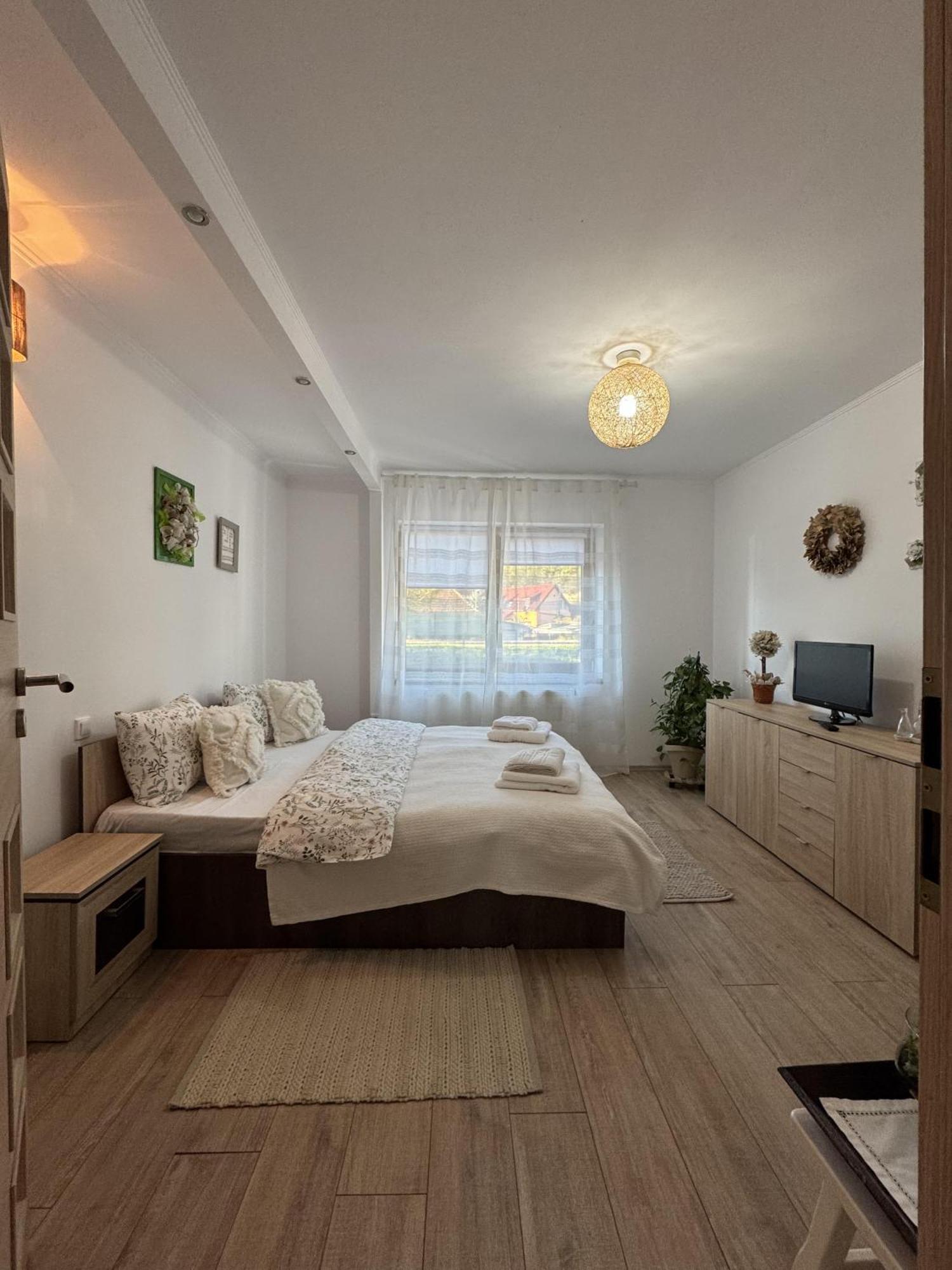 Vik'S Home Сігішоара Екстер'єр фото